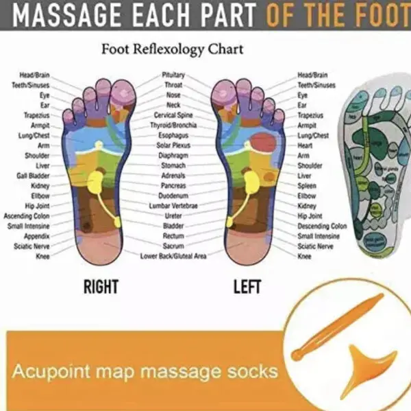 Acupressure Socks Five Toe Separate With Message Tools - Image 2